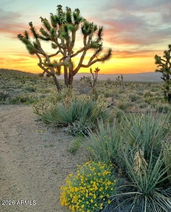 - Lake Mohave Ranchos Lot 357 -- #357, Dolan Springs, AZ 86441