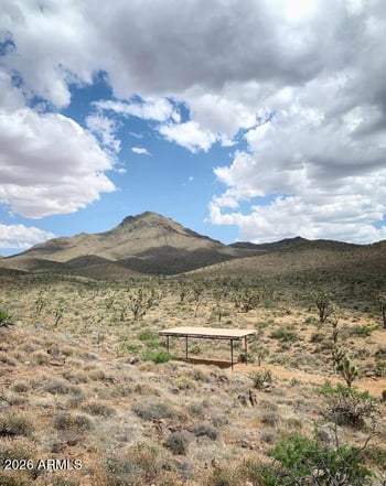 - Lake Mohave Ranchos Lot 357 -- #357, Dolan Springs, AZ 86441