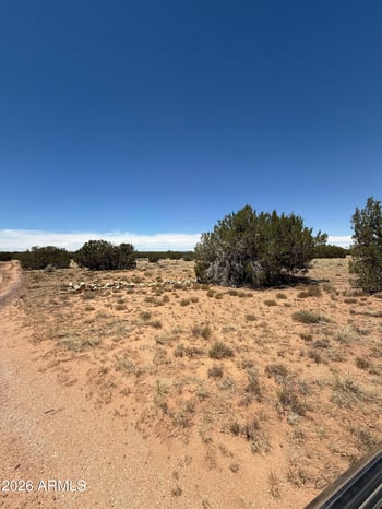 - Section 9 T14n R16e:n2 Sw4 Nw4 -- #--, Heber, AZ 85928