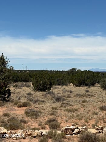 - Section 9 T14n R16e:n2 Sw4 Nw4 -- #--, Heber, AZ 85928