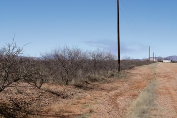 .22 Acre Mesa Ct #1070, Douglas, AZ 85607