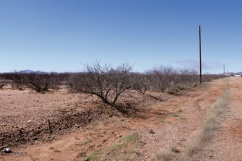 .22 Acre Mesa Ct #1070, Douglas, AZ 85607