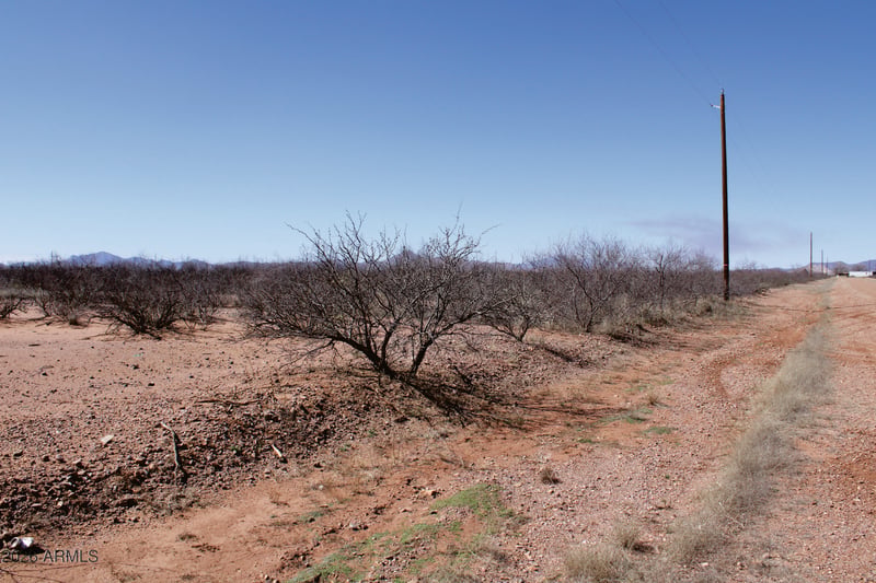 .22 Acre Mesa Ct #1070, Douglas, AZ 85607