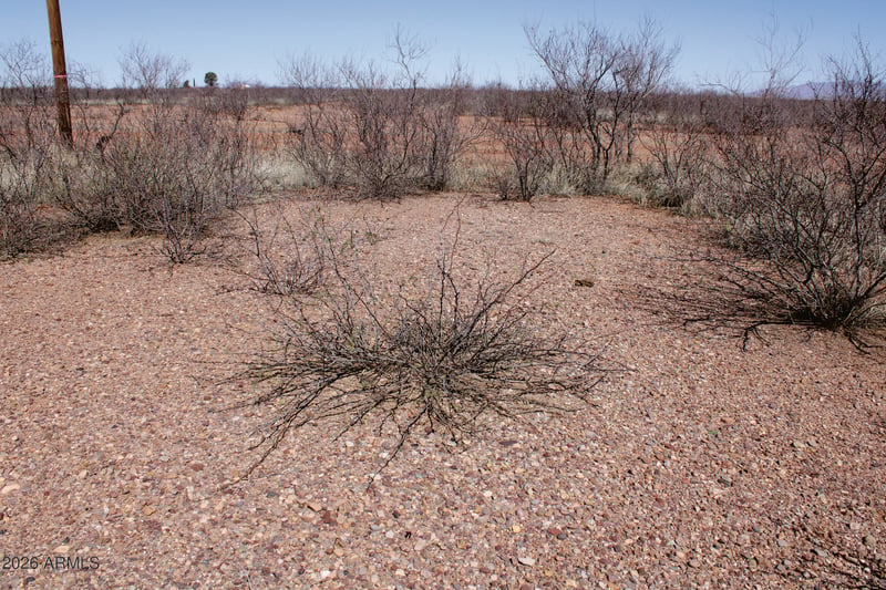 .22 Acre Mesa Ct #1070, Douglas, AZ 85607