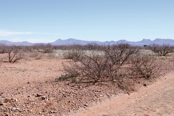 .25 Acre Penn State Dr #1245, Douglas, AZ 85607