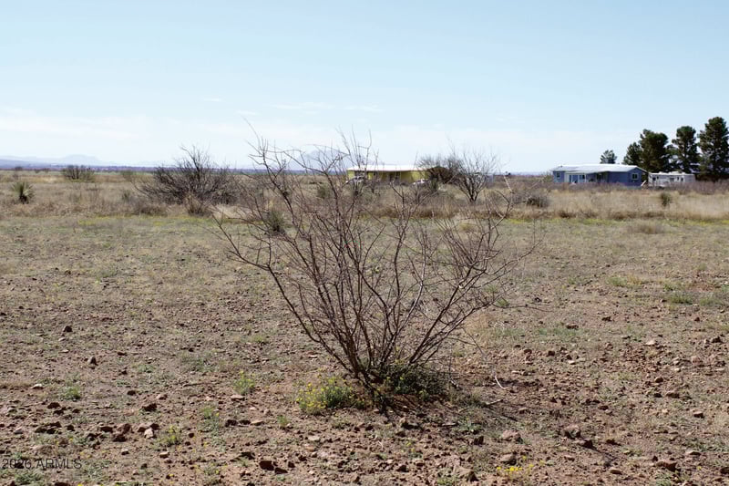 .45 Acres Madrone Dr #738, Douglas, AZ 85607