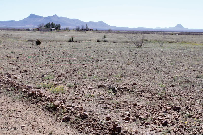 .45 Acres Madrone Dr #738, Douglas, AZ 85607