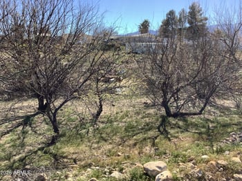 .84ac Saddlehorn Dr #230-232, Safford, AZ 85546