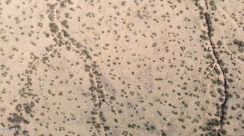  -- #19, Maricopa, AZ 85139