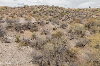 0  -- #-, Wickenburg, AZ 85390