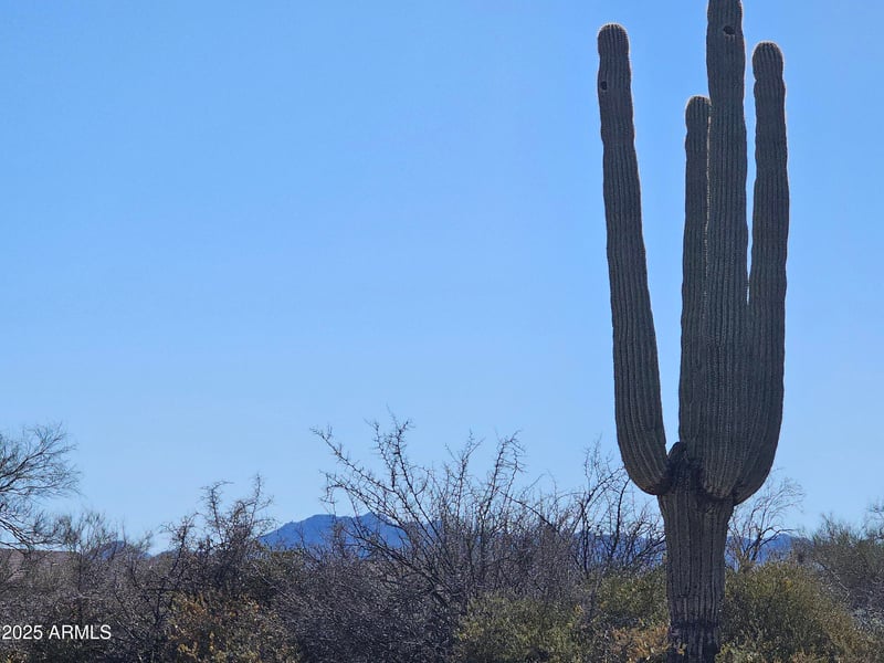 0 168th St #-, Rio Verde, AZ 85263