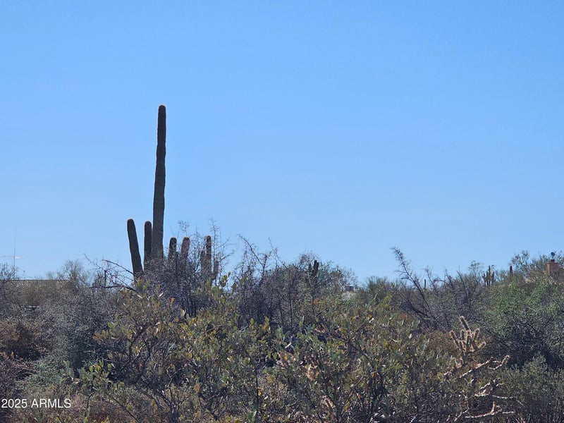 0 168th St #-, Rio Verde, AZ 85263