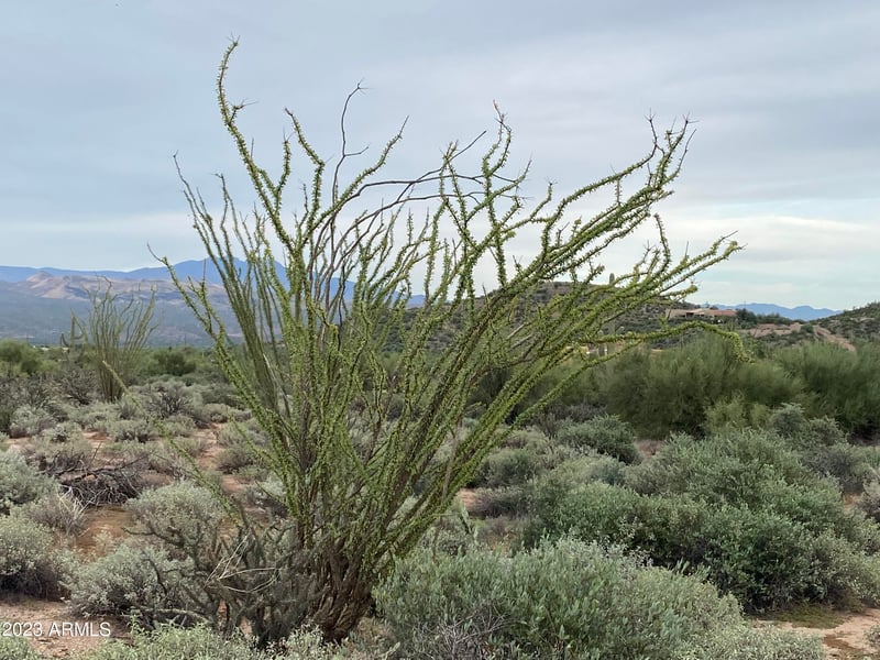 0 170 Streets #-/-/-, Rio Verde, AZ 85263