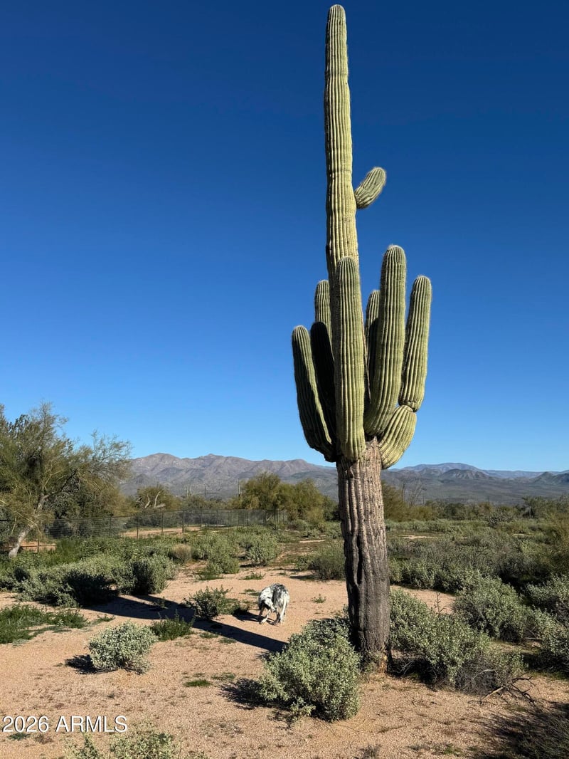 0 172nd St, Rio Verde, AZ 85263