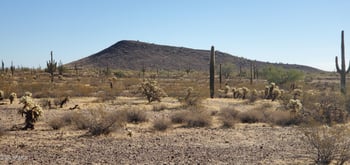 323 Ave #31, Wittmann, AZ 85361