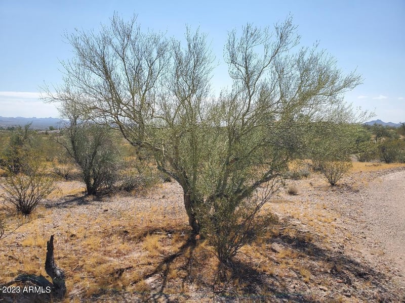 337th Ave #1, Wickenburg, AZ 85390