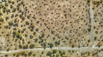 0 345th Ave #51S5, Tonopah, AZ 85354