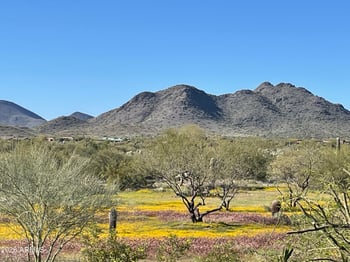 36th St #1, Cave Creek, AZ 85331