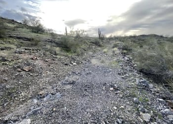 7w -- #19-8, Tonopah, AZ 85354