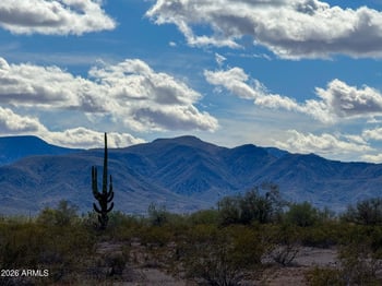 Almendra Rd Lot D -- #1.67 acres, Maricopa, AZ 85139