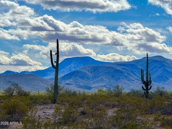Almendra Rd Lot E -- #1.67 Acre, Maricopa, AZ 85139