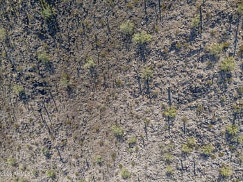 Barcelona Rd #1, Maricopa, AZ 85139