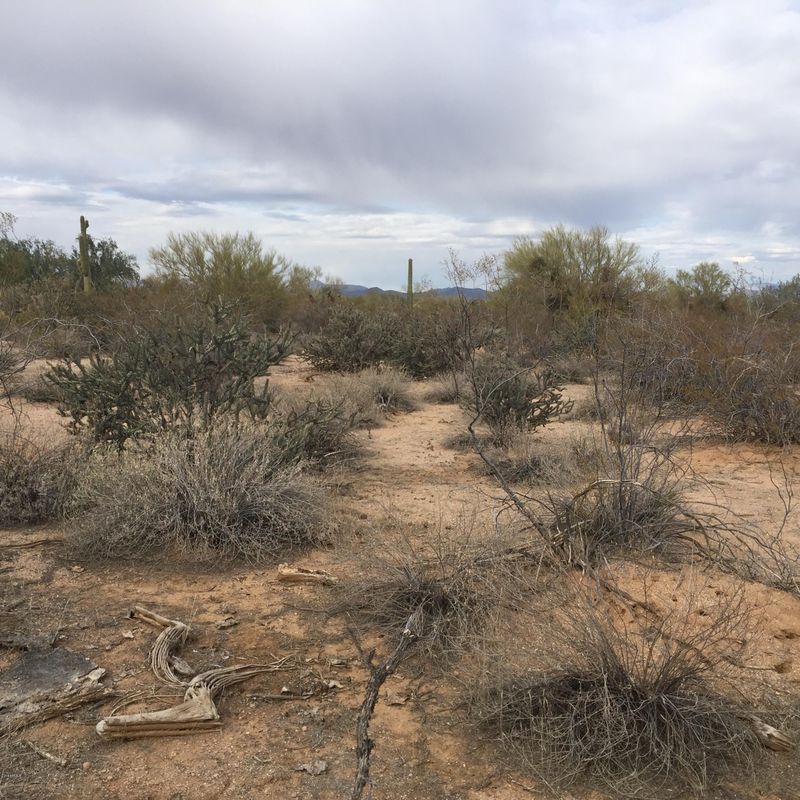 0 Cavedale Dr #-, Scottsdale, AZ 85262