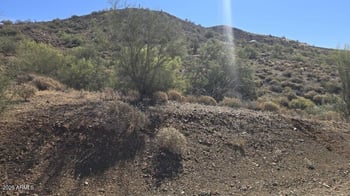 Central Ave #3, Phoenix, AZ 85085