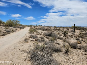 Dexileta Dr #141, Wittmann, AZ 85361