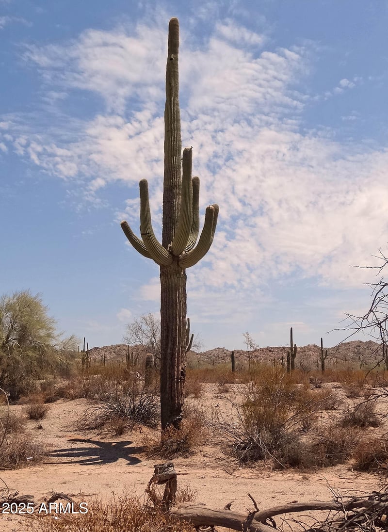 0 Donnaloy Rd #1, San Tan Valley, AZ 85144