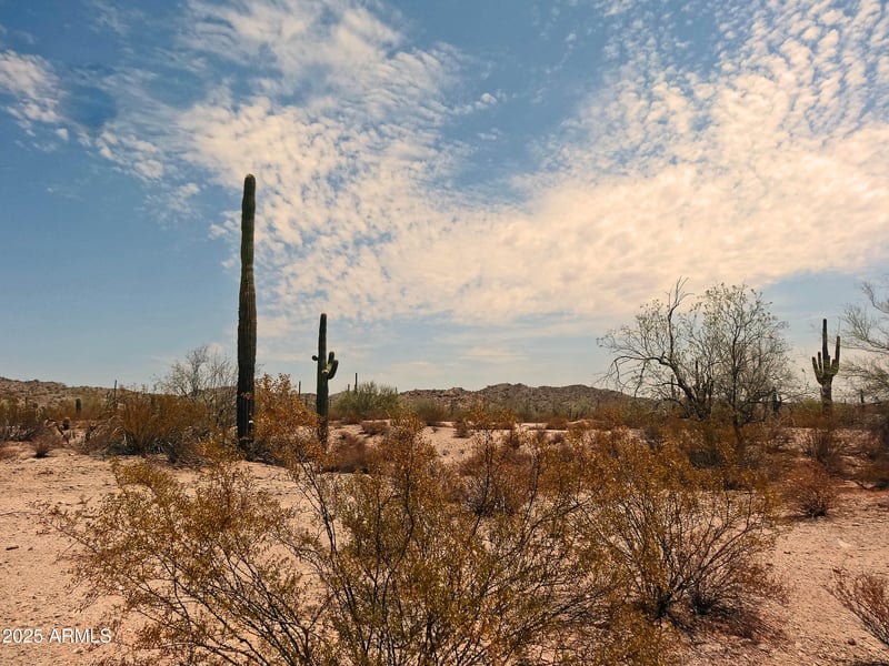 0 Donnaloy Rd #1, San Tan Valley, AZ 85144