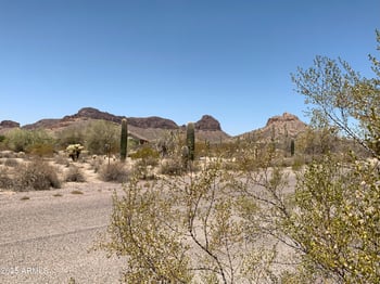 Donnaloy Rd #1, San Tan Valley, AZ 85144