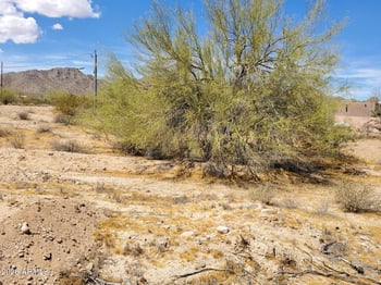 Dune Shadow Rd #39, Maricopa, AZ 85139
