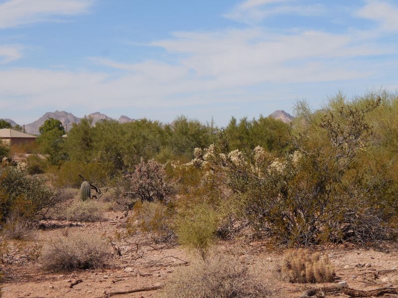 0 E 10th Ave #'-', Apache Junction, AZ 85119