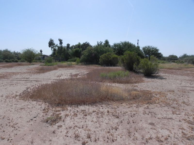 0 E Birchwood Pl #none, Chandler, AZ 85249
