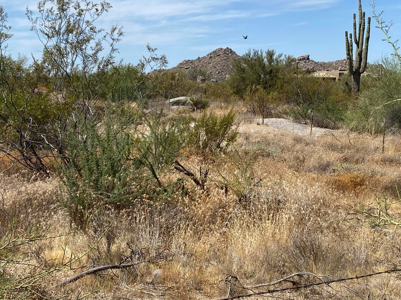 0 E Black Mountain Rd #'-', Scottsdale, AZ 85266