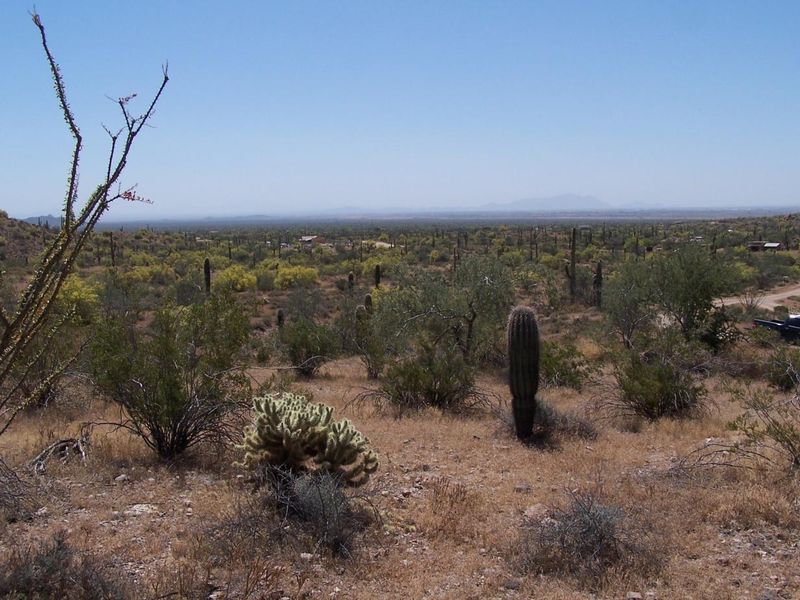 0 E Delores Rd #3, Queen Creek, AZ 85242