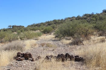 Filoree -- #--, New River, AZ 85087