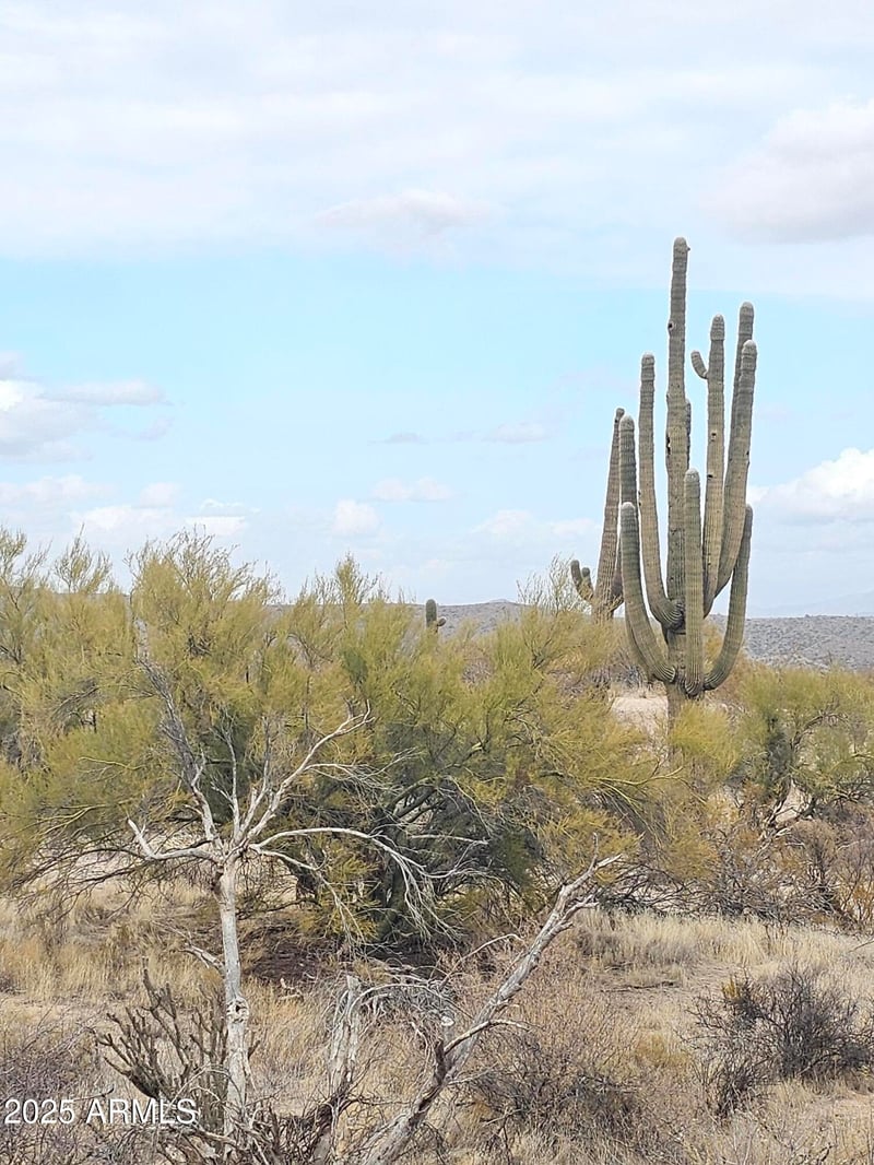 Hawknest Rd #-, Scottsdale, AZ 85262