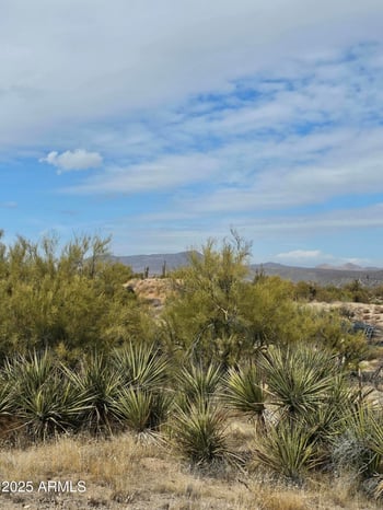 Hawknest Rd #-, Scottsdale, AZ 85262