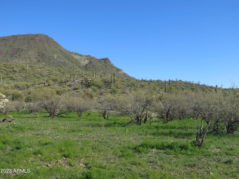 0 E Honda Bow Rd #-, New River, AZ 85087