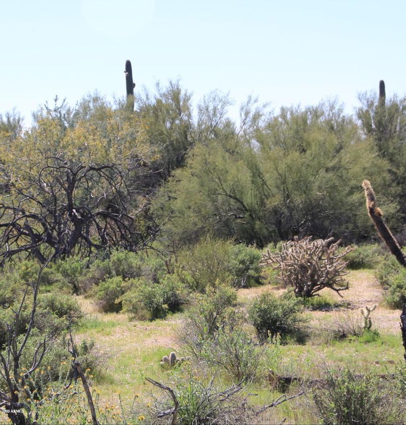 0 E Rolling Creek Dr #105, Cave Creek, AZ 85331