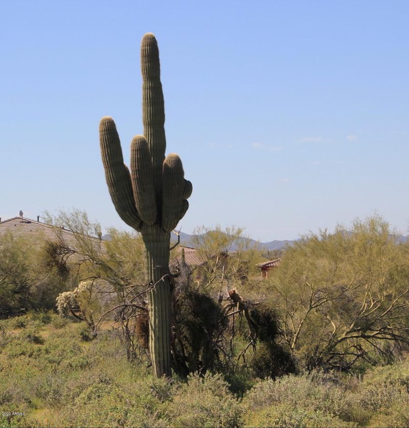 0 E Rolling Creek Dr #105, Cave Creek, AZ 85331