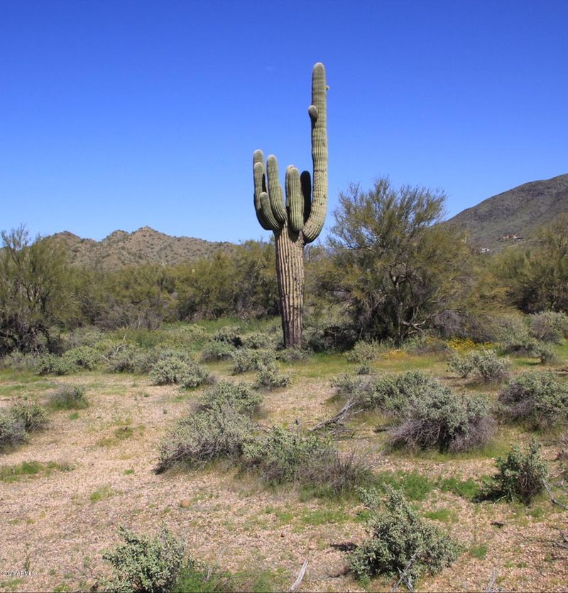 0 E Rolling Creek Dr #93, Cave Creek, AZ 85331