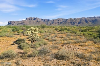 Southern Ave #-, Gold Canyon, AZ 85118