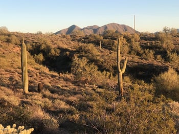 0 E Thirsty Earth Trl #22, Fort Mcdowell, AZ 85264