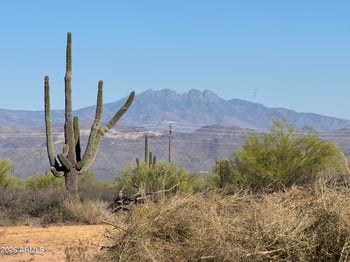 Tumbleweed Dr, Scottsdale, AZ 85262
