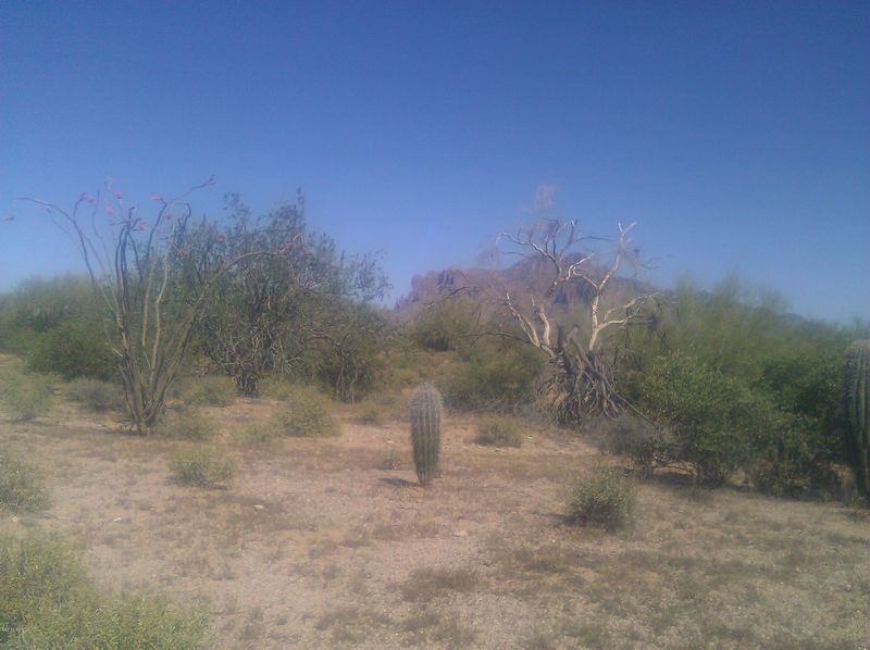 0 E Whiteley St, Apache Junction, AZ 85119