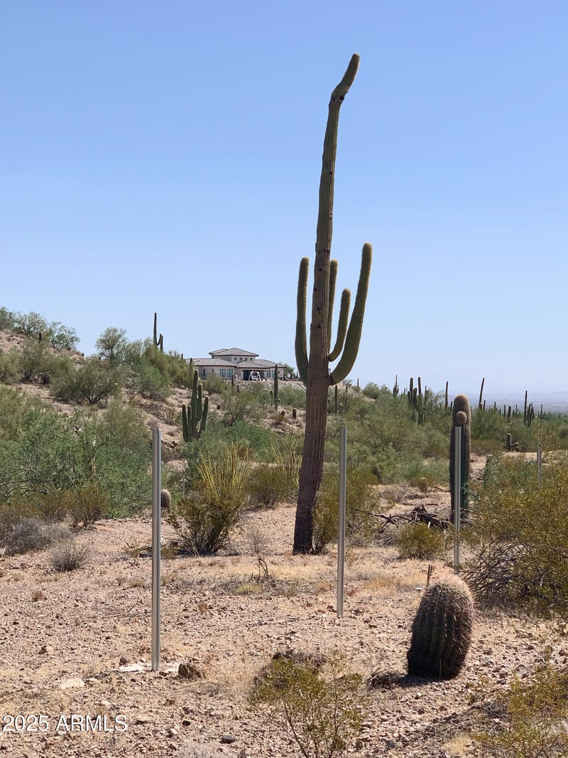 0 Ellen Pl #8, Queen Creek, AZ 85144