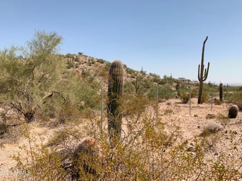 0 Ellen Pl #8, Queen Creek, AZ 85144